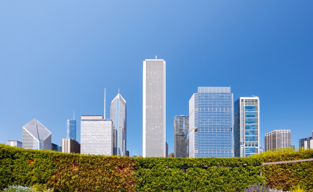 Chicago skyline behind a green hedge