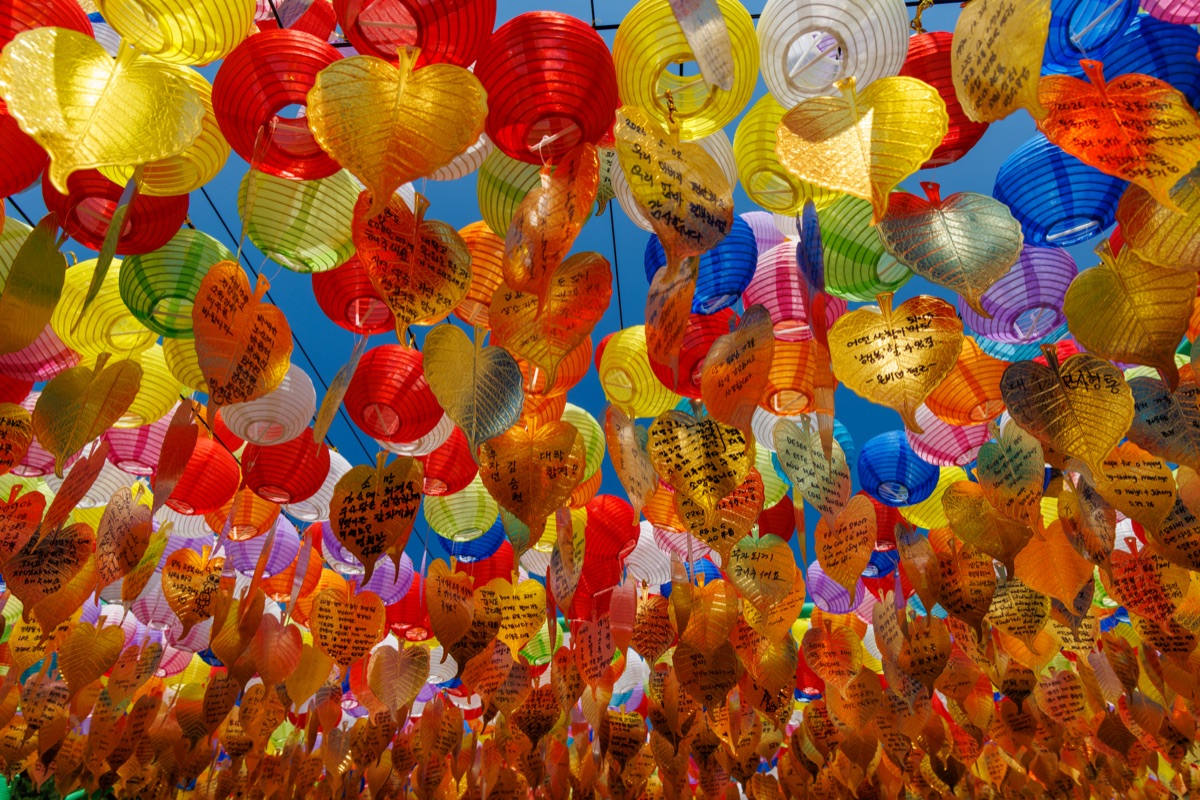 Thousands of colorful paper lanterns decorate Samgwangsa Temple, one of Busan's best-known Buddhist temples and a popular cultural attraction.