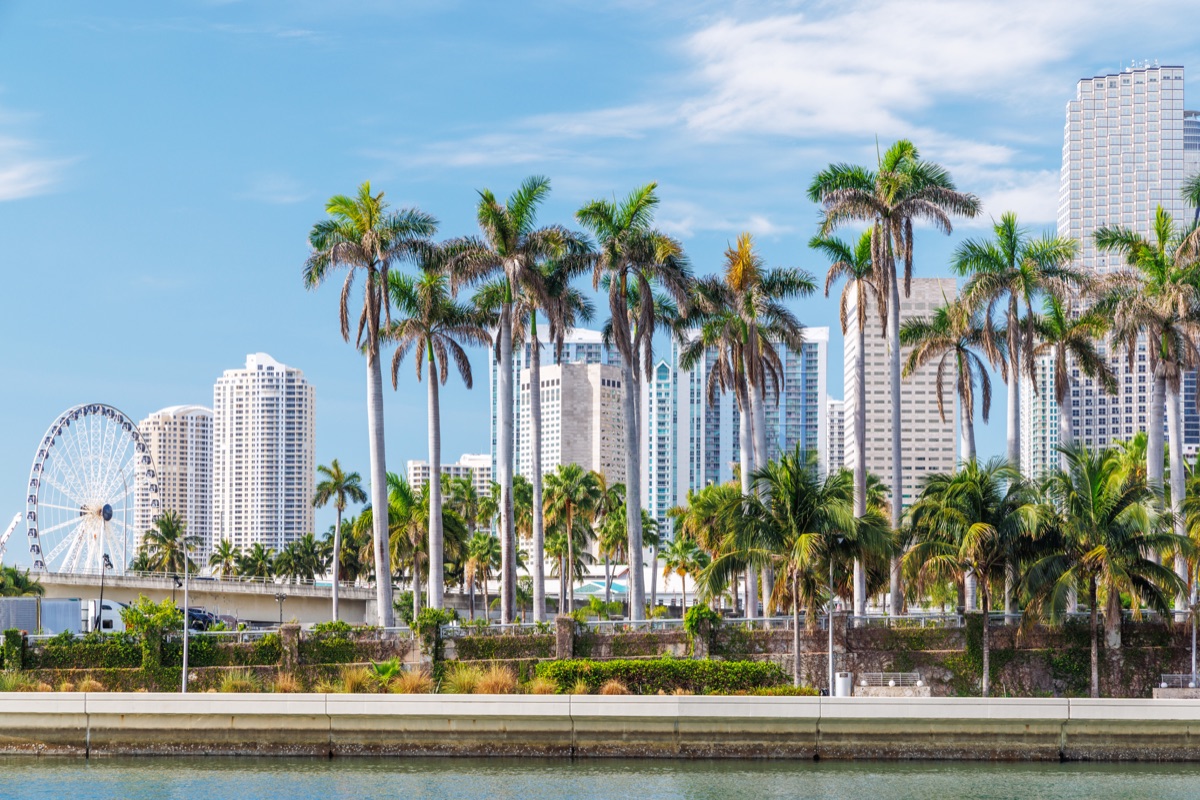 Palm-lined waterfront in Miami