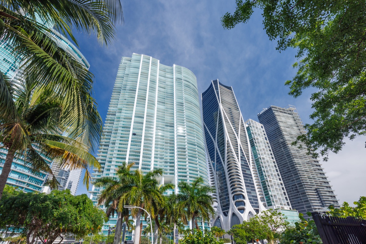 Brickell towers seen through palms