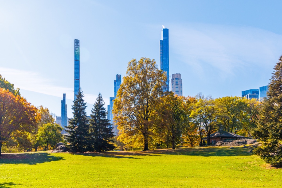 Autumn in Central Park with Manhattan towers