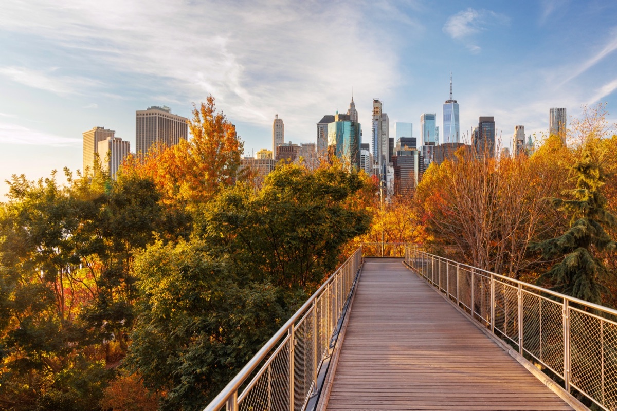 Autumn walkway toward Lower Manhattan